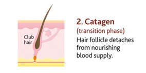 เลเซอร์ขนรักแร้ เชียงใหม่